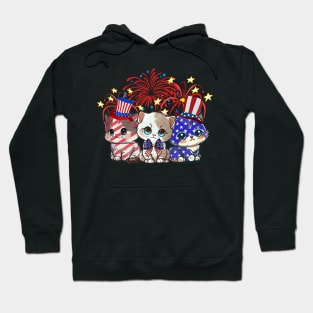 Funny Three Cat 4th Of July American Flag  Cat Hoodie